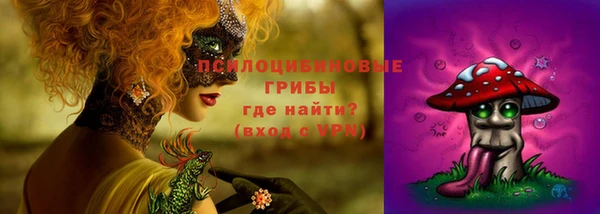 гашик Аркадак