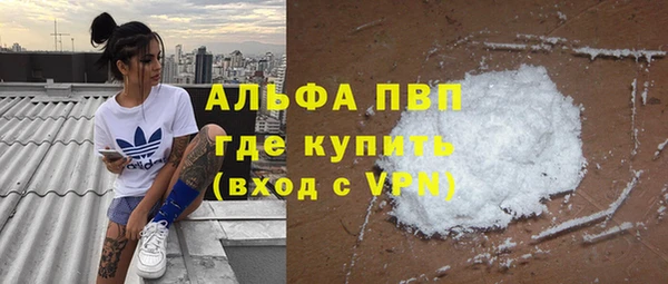 гашик Аркадак